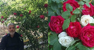 Gül şehrinde Gül reçeli yapımı başladı