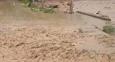 Güroymak'ta sağanak yağış sele yol açtı