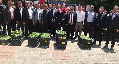 Güroymak'ta yüzde 75 hibeli 21 bin fide dağıtıldı