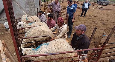 Hayvan yetiştiricilerinin zorlu mesaisi