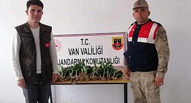 İran uyruklu 2 kişiye, biyoçeşitliliği tahripten toplam 774 bin 282 TL idari para cezası verildi