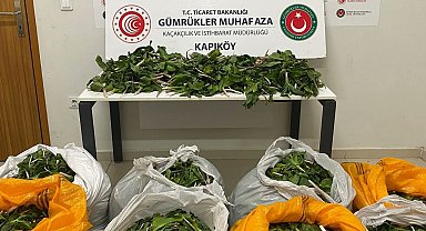 İran uyruklu 6 kişiye biyoçeşitliliği tahripten toplam 2 milyon 322 bin 846 lira ceza