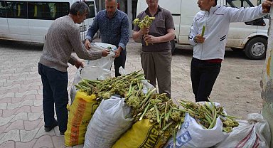 Işgın tezgahlardaki yerini aldı