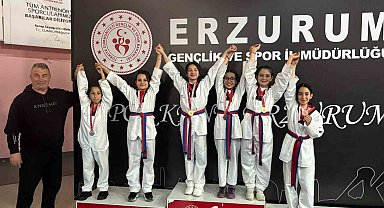 İspirli sporcular bölge Taekwondo müsabakalarına damga vurdu