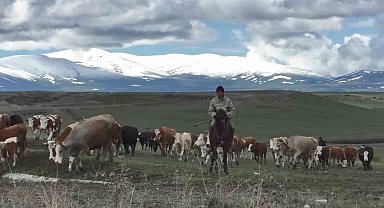 Kars'ta dağların zirvesi mayısta beyaza büründü