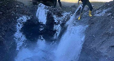 Kazada telef olan hayvanlar gömüldü