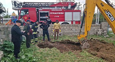 Kuyuya düşen inek kurtarıldı
