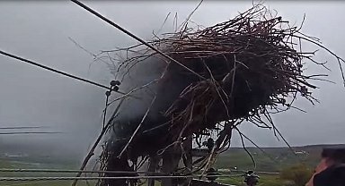 Leylek yuvasında yangın çıktı