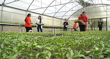 Liselilerin serada yetiştirdiği sebzeler sofrada