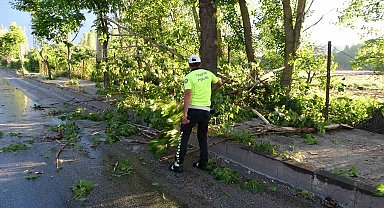 Malatya'da 15 dakikalık fırtına ağaçları devirdi