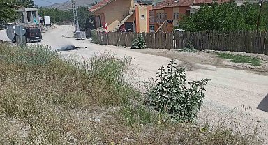 Malatya'da, yol tepkisi