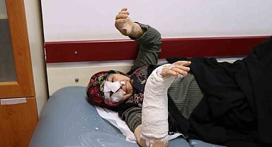 Oltu'da sokak köpekleri dehşet saçtı