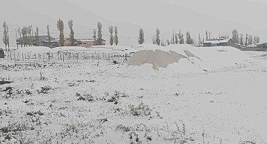 Özalp mayıs ayında kışı yaşadı