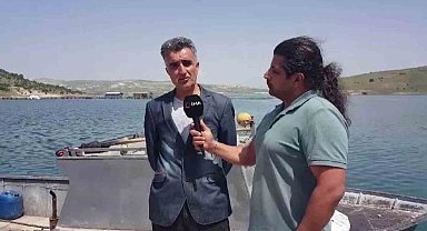 Piyasada ölü balık tedirginliği