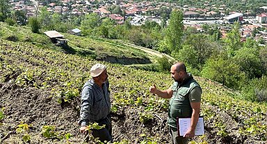 Sahayı adım adım dolaşıyorlar