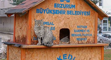 Sekmen; "Her can bize emanet"