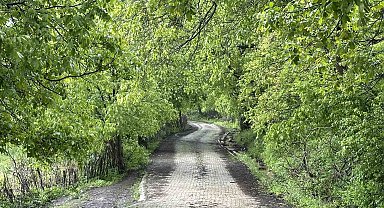 Şemdinli yeşil doğasıyla Karadeniz'i aratmıyor