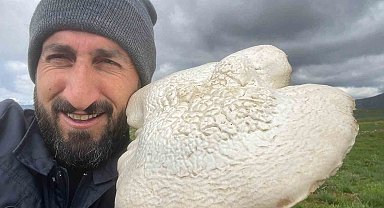 2 Kilogramlık Dev Mantar Bulundu