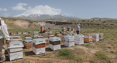 Süphan Dağı'nın eteklerinde üretim yapan arıcılar bu yıl yüksek rekolte bekliyor