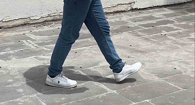 Tatvan'da çekirgeler şehir merkezini istila etti