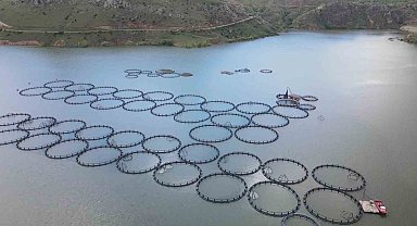 Tercan Barajı'nda 150 kafeste üretim yapılıyor