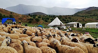 Tulum peyniri üreticileri dışarıdan getirilen peynirlerden muzdarip