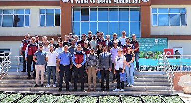 Tunceli'de 228 üreticiye 84 bin domates fidesi dağıtıldı