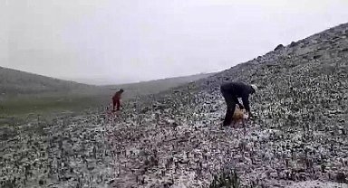 Tunceli'de mayısın ortasında kar yağdı