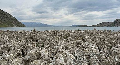 Van Gölü kıyılarındaki mikrobiyalitler vatandaşları şaşırttı