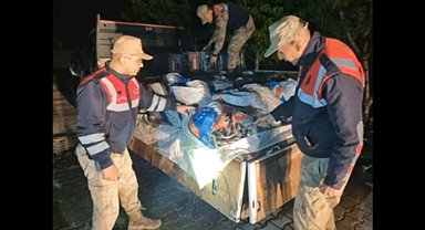 Van'da 6 bini canlı 10 bin kilo balık ele geçirildi