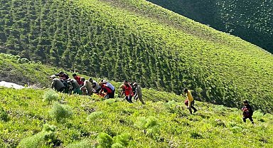 Van'da ot toplarken kayalıklardan düşen şahıs kurtarıldı