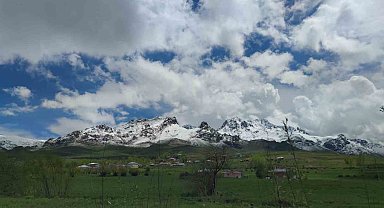 Van'ın dağlarında kış, ovalarında bahar güzelliği yaşanıyor