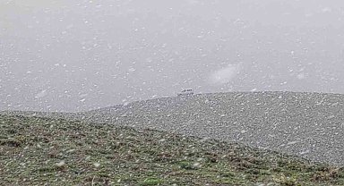 Van'ın yüksek kesimlerinde mayıs ayında lapa lapa kar yağdı