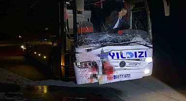 Yola çıkan ata otobüs çarptı