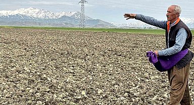 Yüksekova'da ekim mesaisi başladı