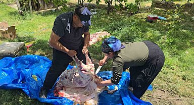 3 çocuk annesi maharetiyle kasaplara taş çıkarttı