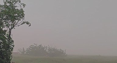 Adilcevaz'da toz bulutu ve fırtına etkili oldu