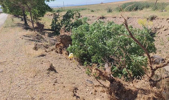 Adilcevaz'da toz fırtınası hayatı felç etti