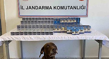 Ağrı'da 1294 paket kaçak sigara yakalandı