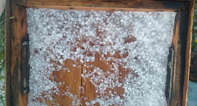 Ağrı'da dolu yağışı ekinlere ve arıcılığa zarar verdi