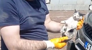 Araç motoruna sıkışan yavru kedi kurtarıldı