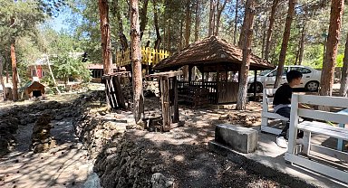 Atatürk Kent Ormanı ilgisiz kaldı