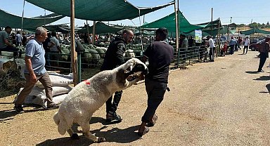 Bayramın ilk gününde kurban pazarında hareketlilik