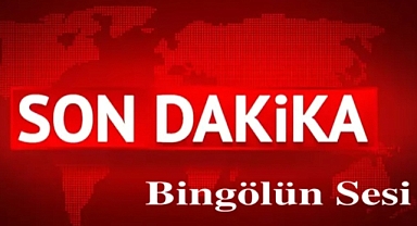 Bingöl'de Yaşlı kadını yangından komşusu kurtardı