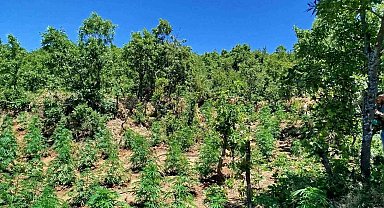 Bingöl'de 4 farklı noktada uyuşturucu ele geçirildi