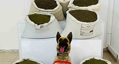 Bingöl'de araziye gizlenmiş 150 kilo uyuşturucu madde ele geçirildi