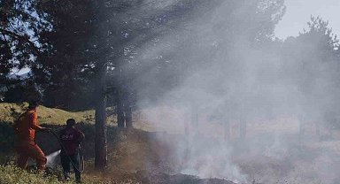 Çamlık Alanda Yangın!