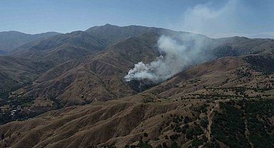 Bingöl'de çıkan örtü yangını ormana sıçramadan söndürüldü