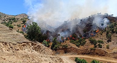 Bingöl'de iki ayrı ilçedeki orman yangınları söndürüldü