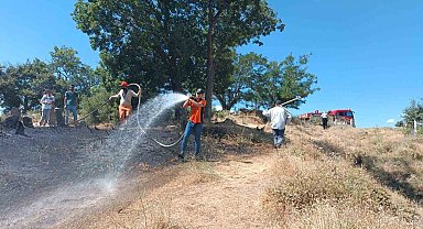 Bingöl'de kırsal alanda çıkan yangın ormana sıçramadan söndürüldü